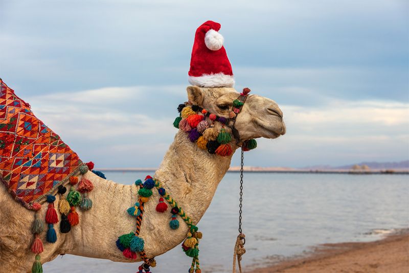 ägypten weihnachten wetter