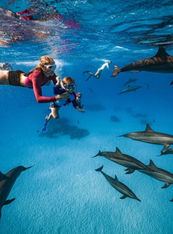 Delfin Ausflug Hurghada