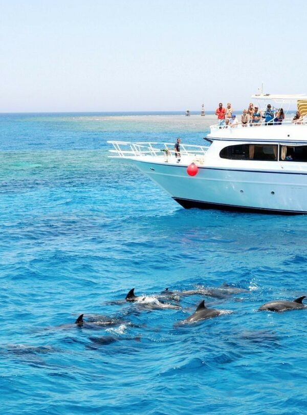 Delfine schnorcheln Hurghada