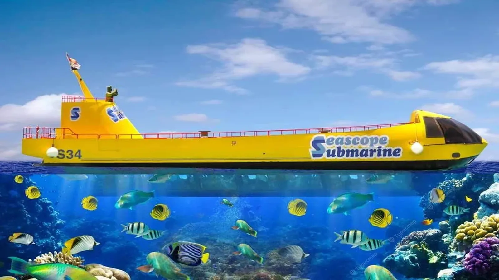 hurghada tipps und tricks Glasbodenboot Hurghada
