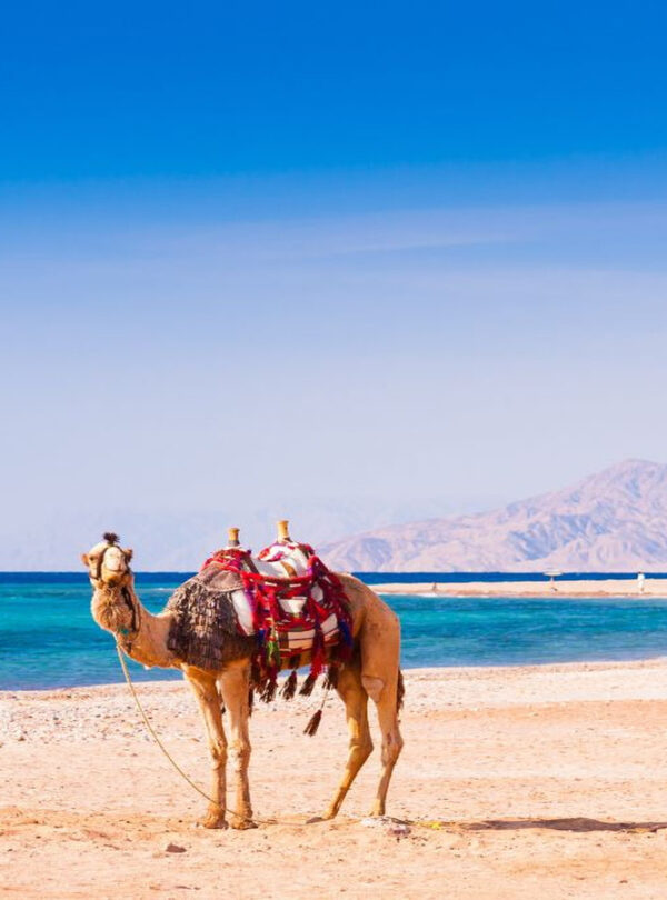 Hurghada Ausflüge