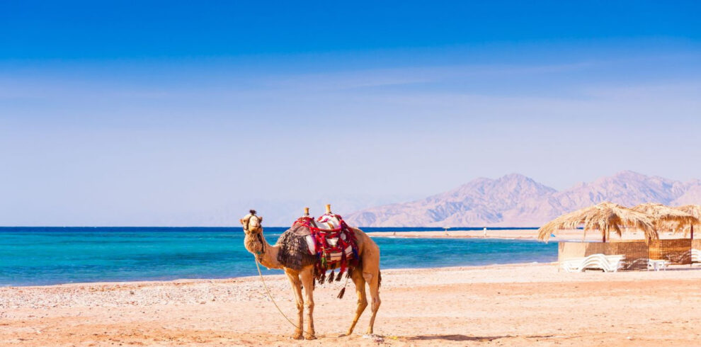 Hurghada Ausflüge
