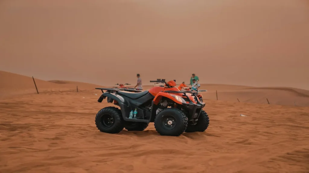 wüstensafari