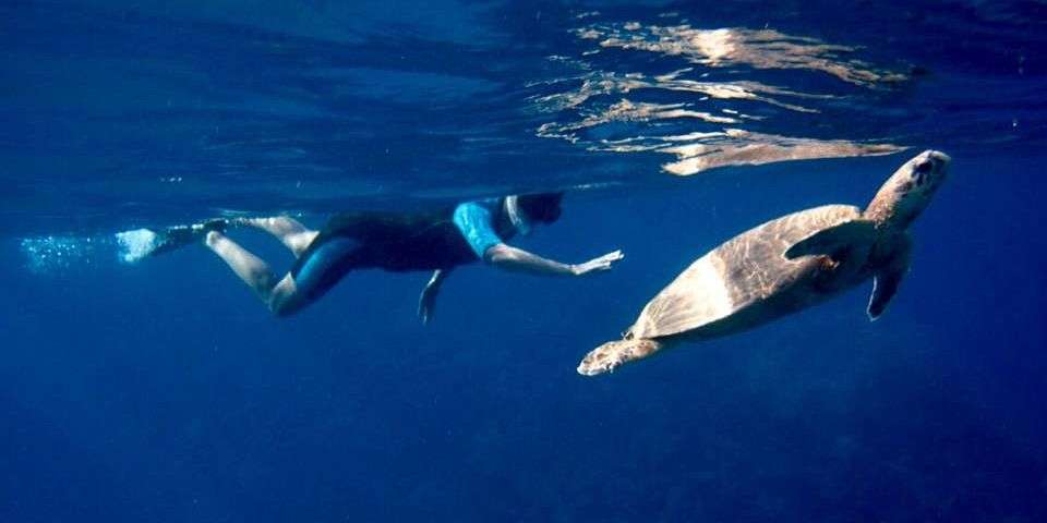 Sharm El Naga Ausflug – Schnorcheln im Paradies Ägyptens