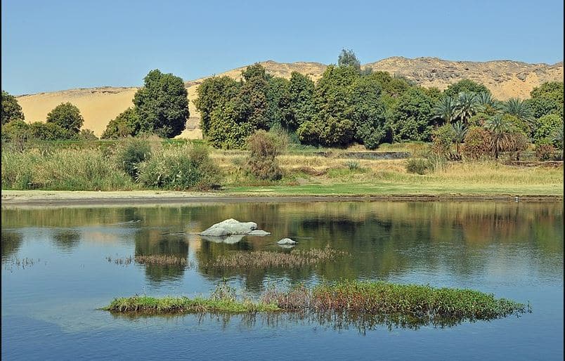 Fauna und Flora Ägyptens