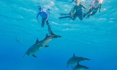 Delfin tour Hurghada