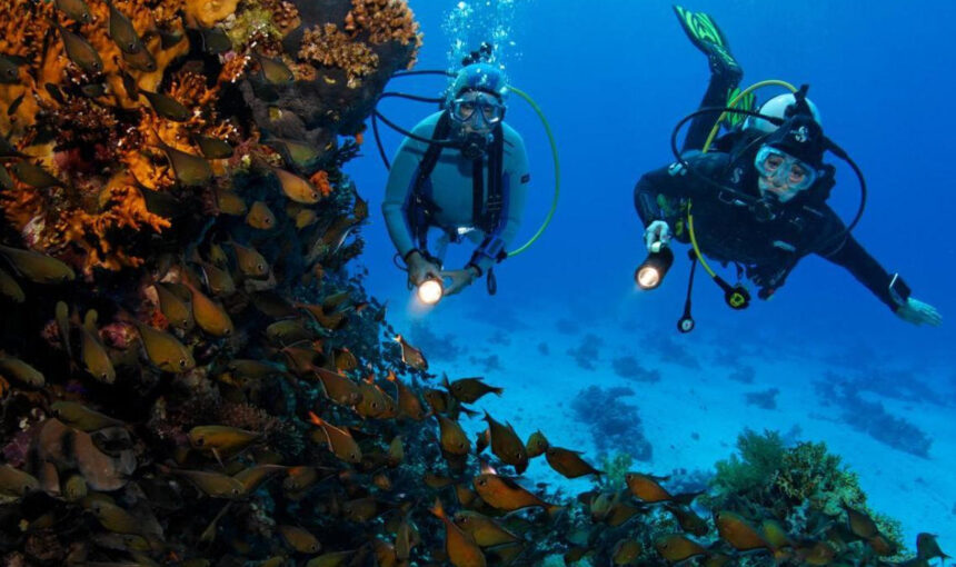 🤿 Tagestour Tauchen in Hurghada – Abenteuer unter Wasser für Anfänger & Fortgeschrittene