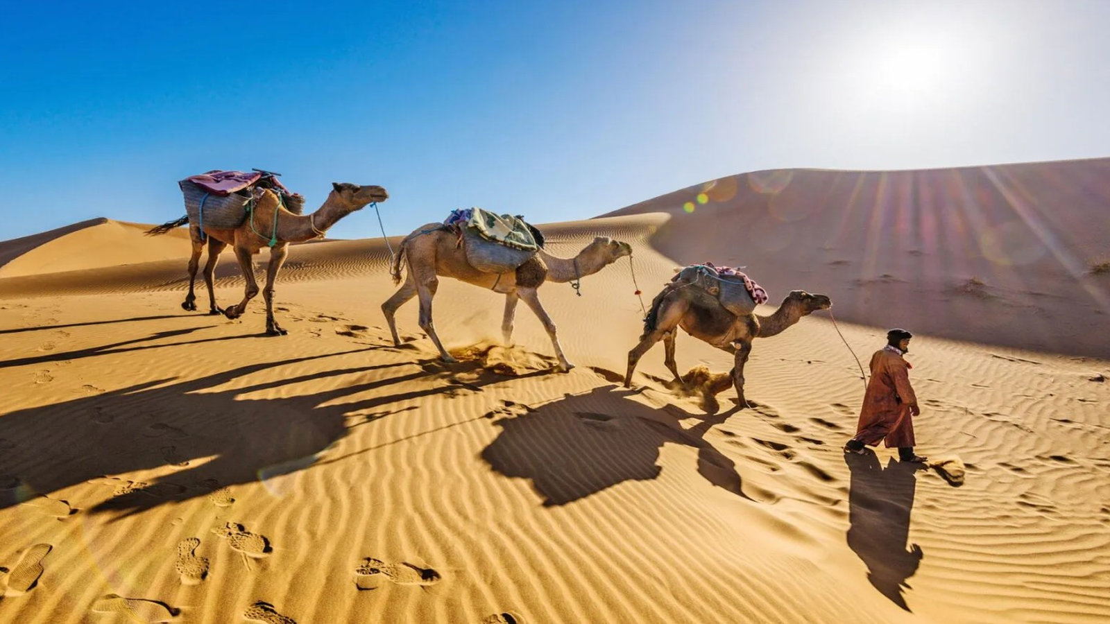 Die Top 10 Ausflüge Hurghada und Sehenswürdigkeiten.