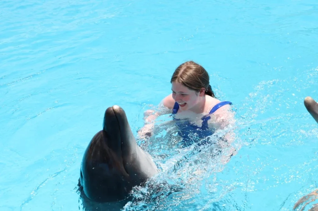 delphin show hurghada