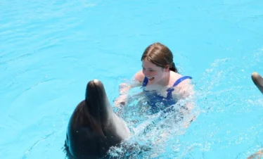 delphin show hurghada