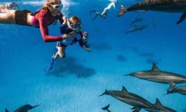 Delfin Ausflug Hurghada