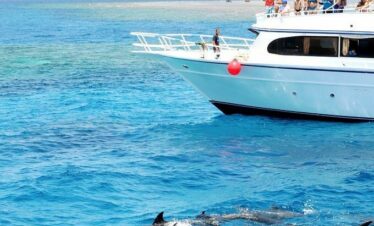 Delfine schnorcheln Hurghada