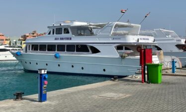 Hurghada Delfine Ausflug