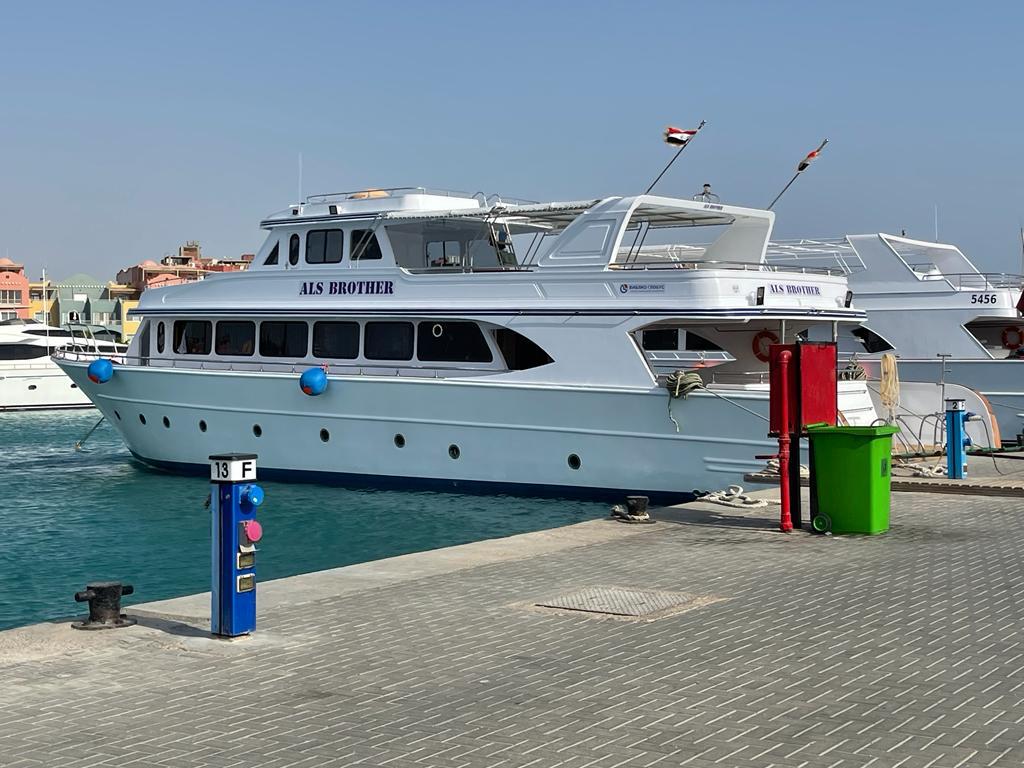 Hurghada Delfine Ausflug