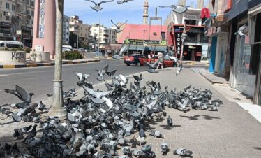 Stadtrundfahrt Hurghada