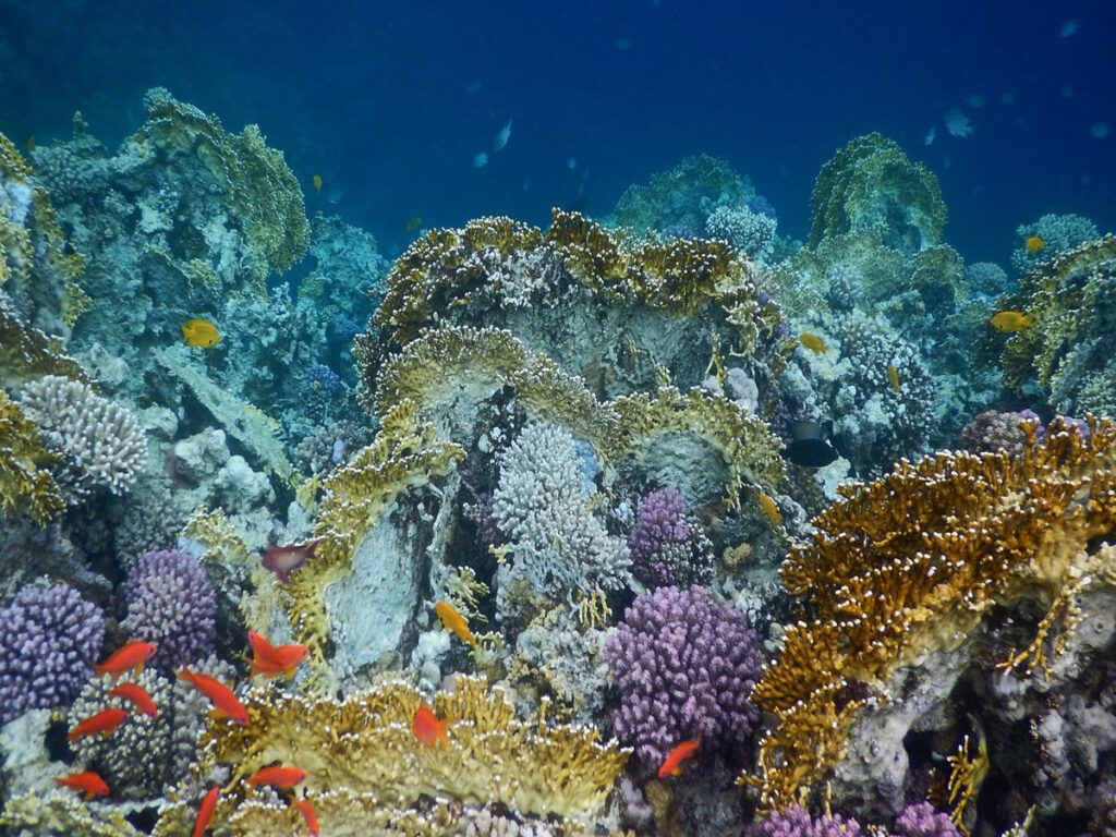 Sharm El Naga Soma Bay