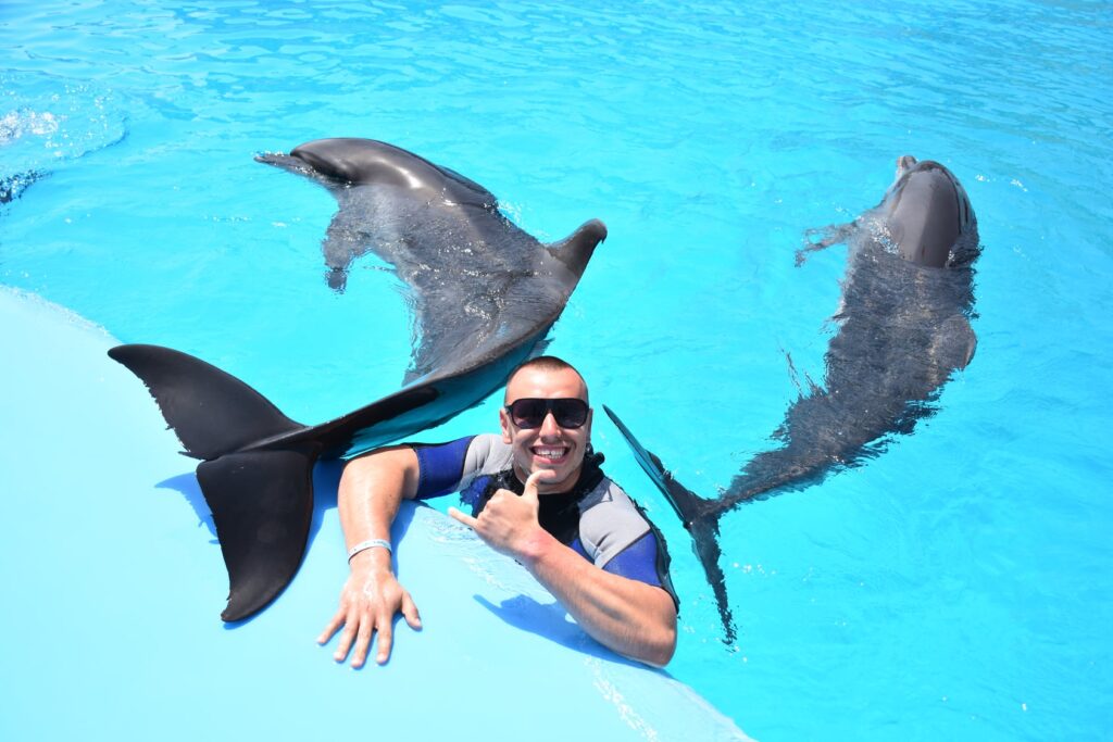 delfinarium hurghada