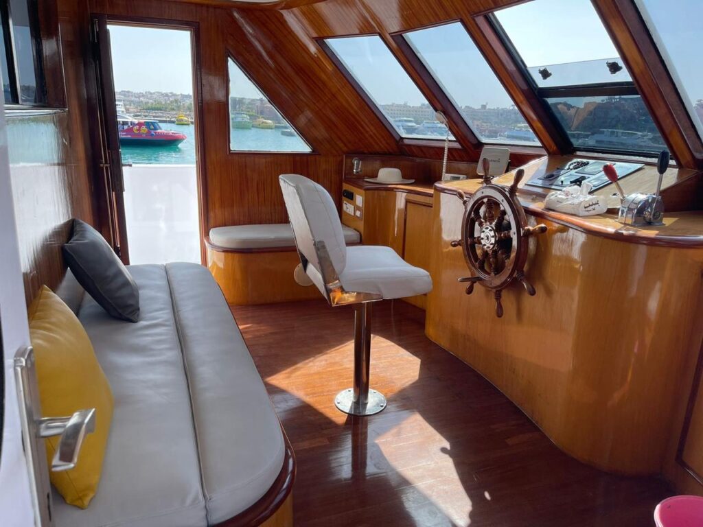 delfinschwimmen hurghada