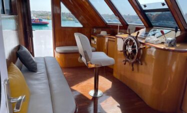 delfinschwimmen hurghada