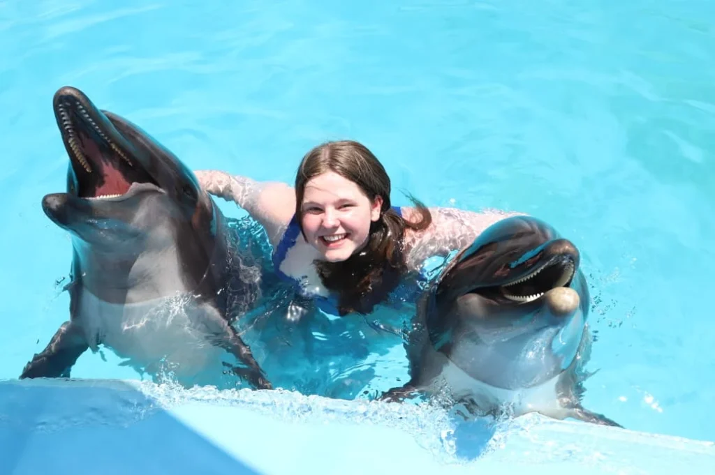 delphin show hurghada