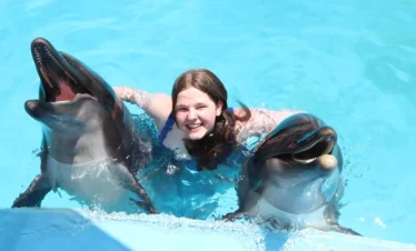 delphin show hurghada