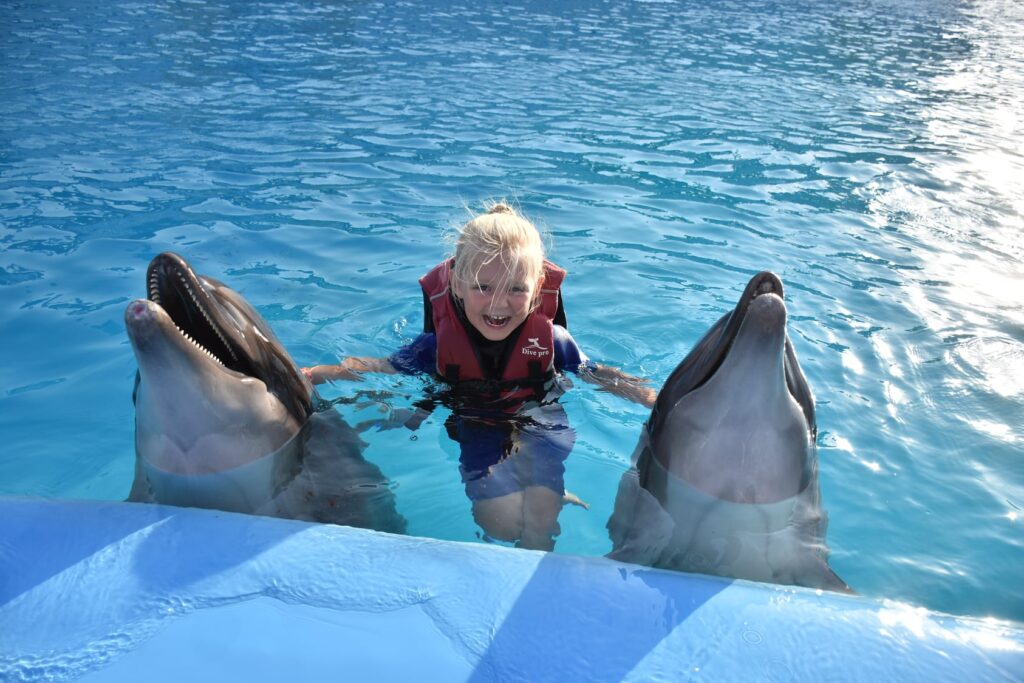 Delfin world Hurghada