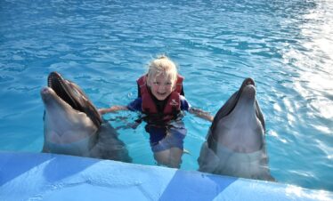 Delfin world Hurghada
