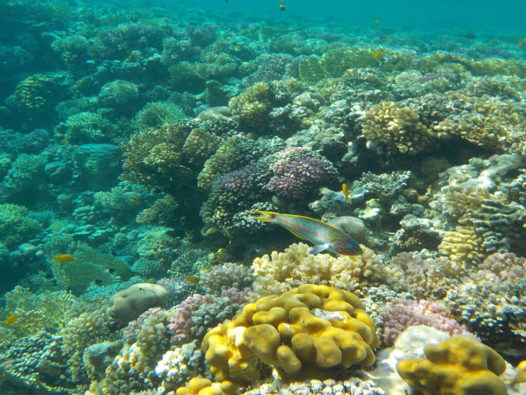 sharm el naga tagesausflug