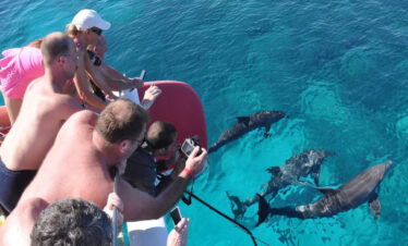 Katamaran ab El Gouna