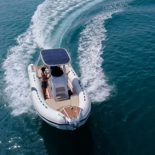 Private Delfin Tour Hurghada mit Speedboot