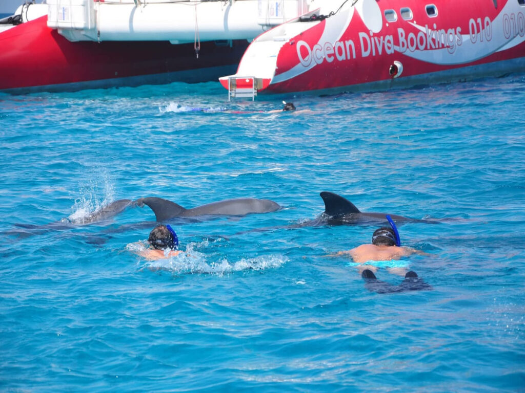katamaran Hurghada Delfinschwimmen