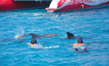 katamaran Hurghada Delfinschwimmen