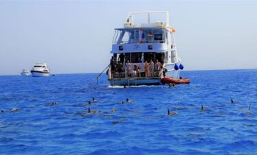 Delfin tour Hurghada