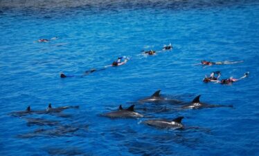 Delfin tour Hurghada mit Boot und Schnorchelstopps
