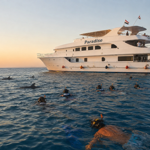 VIP Frühe Delfin Tour Hurghada