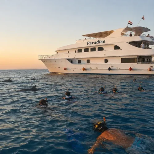 VIP Frühe Delfin Ausflug Hurghada