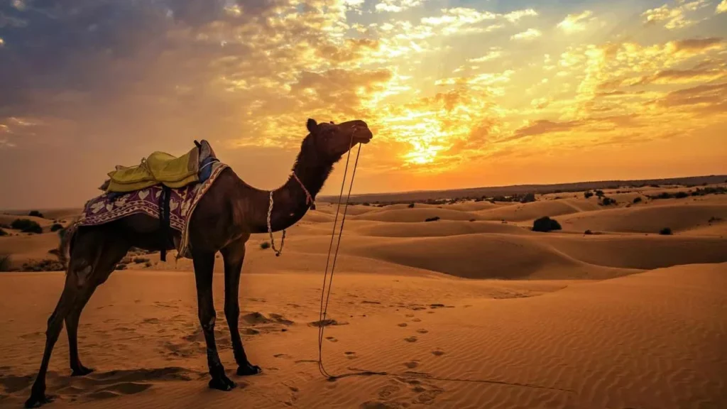 Marsa Alam Quad Tour – Quadfahrer unterwegs durch die Wüste von Marsa Alam
