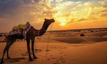 Marsa Alam Quad Tour – Quadfahrer unterwegs durch die Wüste von Marsa Alam